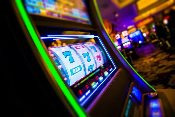 tribuntogel login Live Curve Tracking